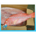 Frozen Red Snapper fish whole round IQF